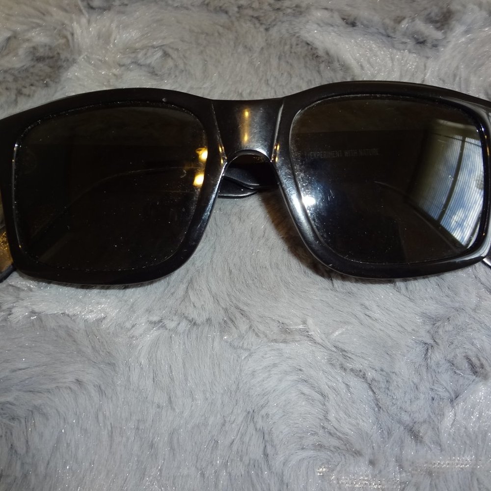 Shwood Experiment with Nature Sunglasses / Hay Stack with Ray Ban cas